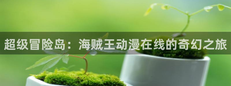 动漫天堂全集免费观看:超级冒险岛:海贼王动漫在线的奇幻之旅配图