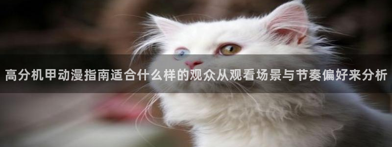 动漫天堂今日推荐:高分机甲动漫指南适合什么样的观众从观看场景与节奏偏好来分析配图