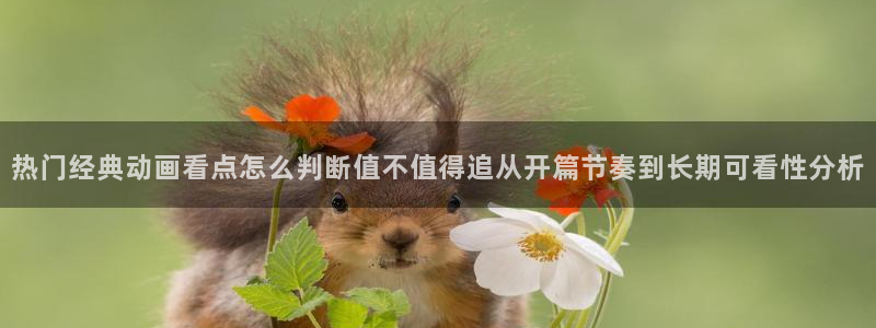 动漫天堂连载排行:热门经典动画看点怎么判断值不值得追从开篇节奏到长期可看性分析配图