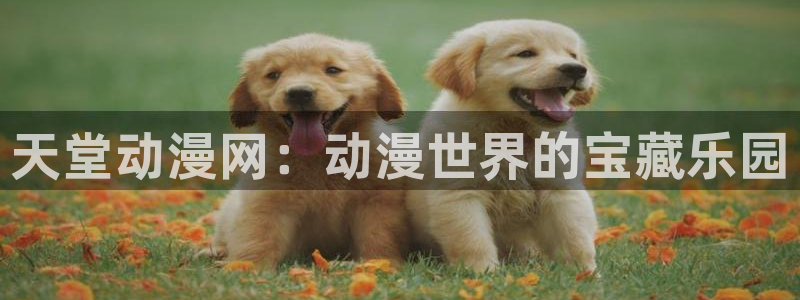 动漫天堂新番更新:天堂动漫网:动漫世界的宝藏乐园配图