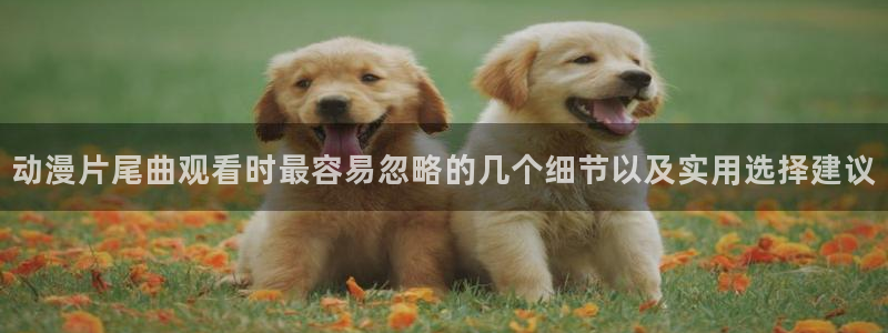 动漫天堂日本动漫在线观看:动漫片尾曲观看时最容易忽略的几个细节以及实用选择建议配图