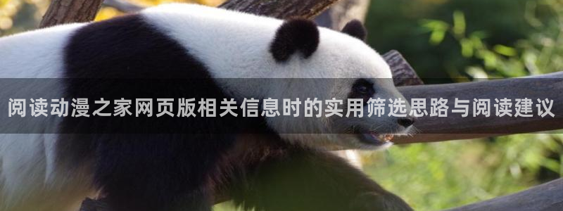 动漫天堂精品作品:阅读动漫之家网页版相关信息时的实用筛选思路与阅读建议配图