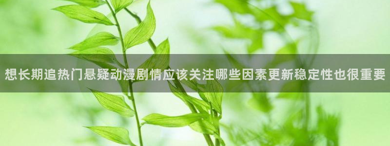 动漫天堂完结推荐:想长期追热门悬疑动漫剧情应该关注哪些因素更新稳定性也很重要配图