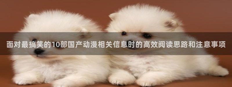 动漫天堂今日热门:面对最搞笑的10部国产动漫相关信息时的高效阅读思路和注意事项配图